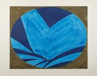 Blue Nyad