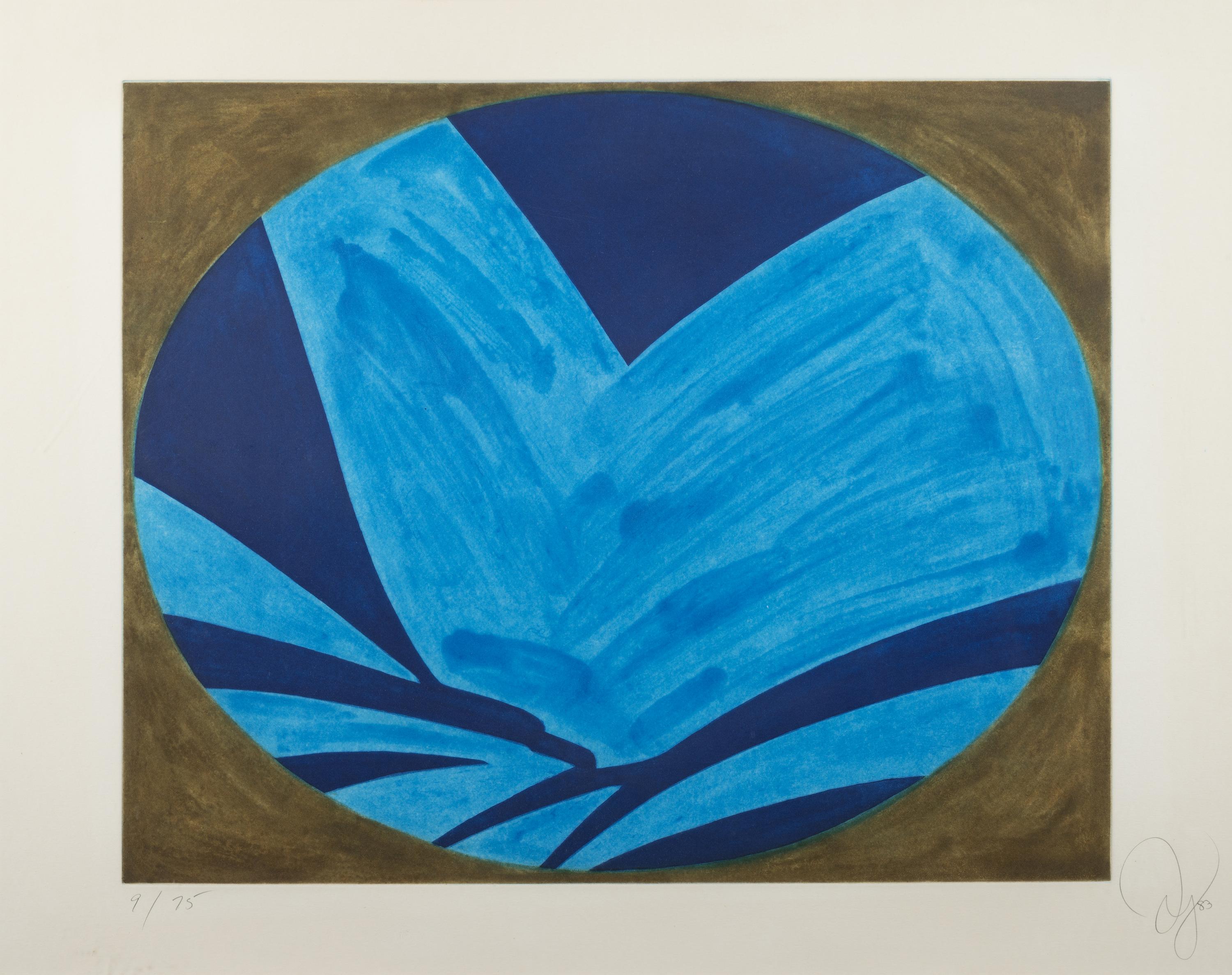 Blue Nyad