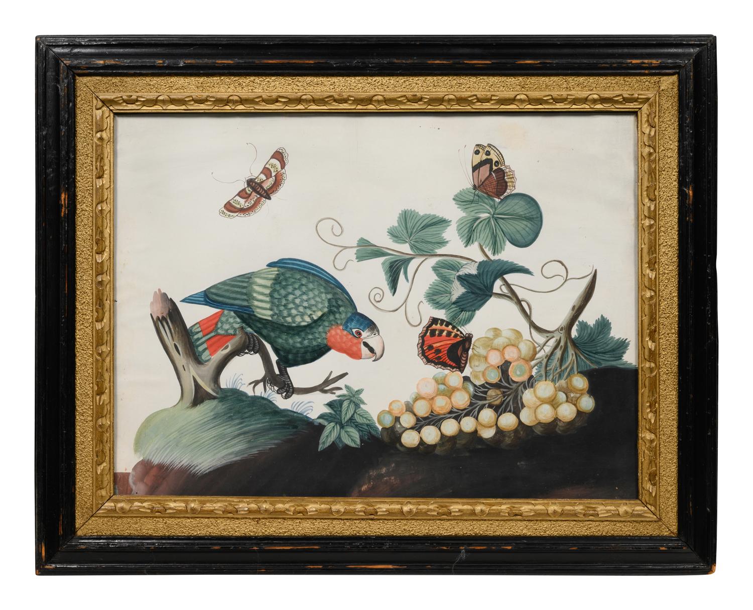 A Set of Six Irish George III Embossed Bird Pictures by Samuel Dixon