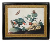 A Set of Six Irish George III Embossed Bird Pictures by Samuel Dixon