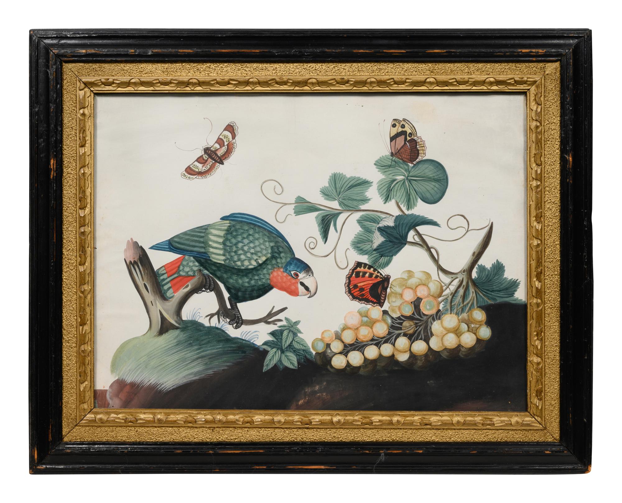 A Set of Six Irish George III Embossed Bird Pictures by Samuel Dixon