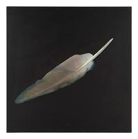 Feather