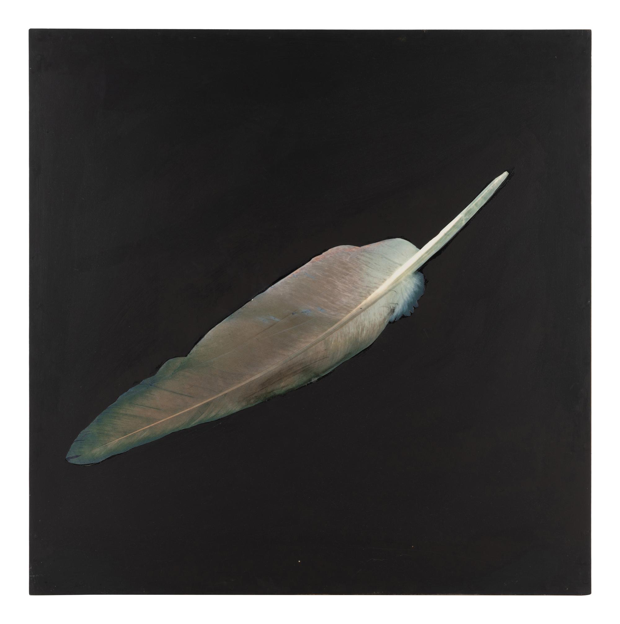 Feather