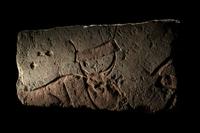 An Egyptian Limestone Relief