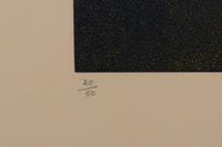 L'Osage Disque Triangle Bleu