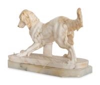 Setter Dog Plays with a Toy Top