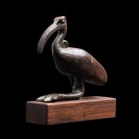 An Egyptian Bronze Ibis