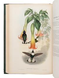[NATURAL HISTORY]. GOULD, John (1804-1881). A Monograph of the Trochilidae, or Family of Humming-Birds . London: Taylor and Francis for the Author, [1849-] 1861.