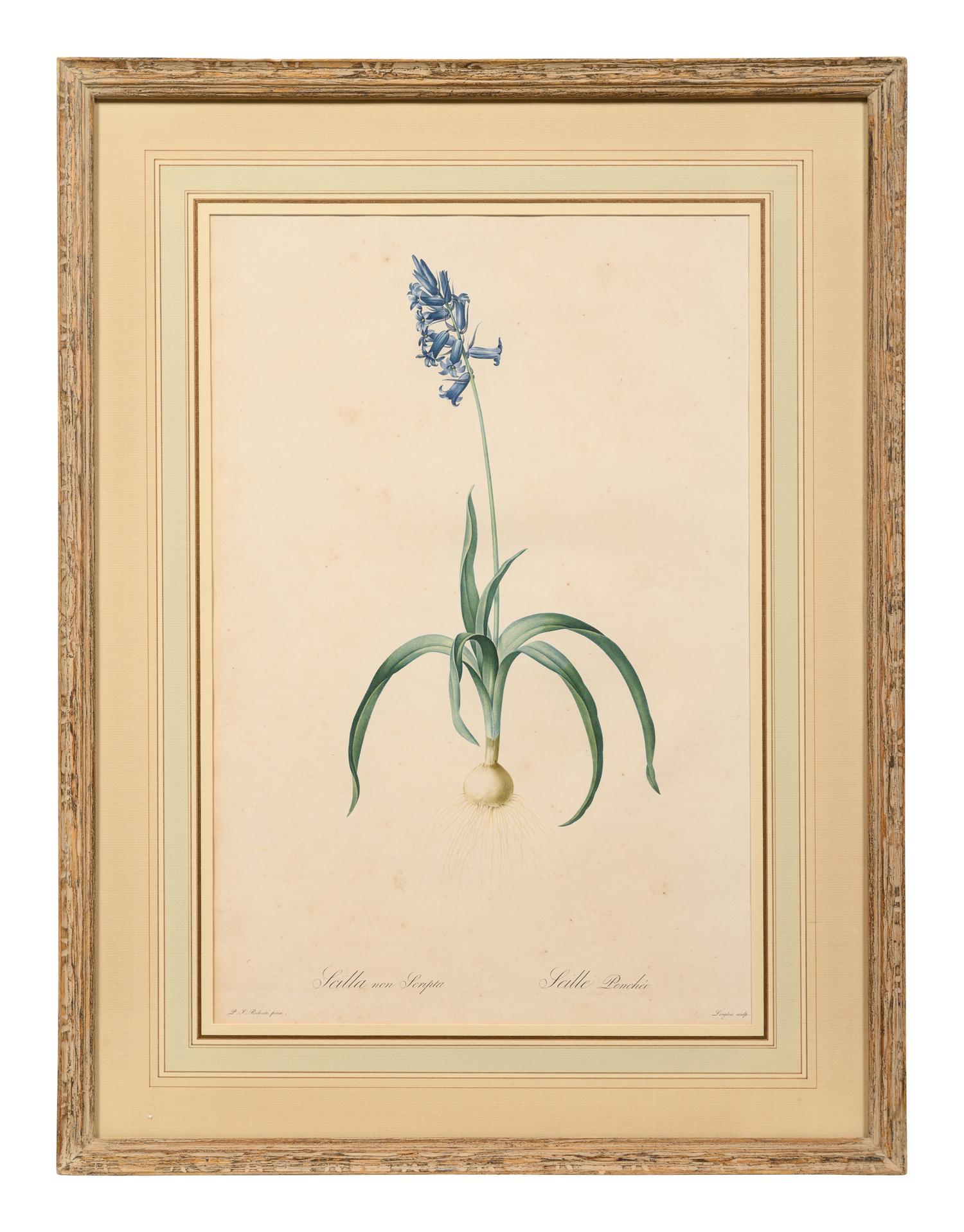 A Set of Six Botanical Artworks