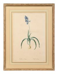 A Set of Six Botanical Artworks