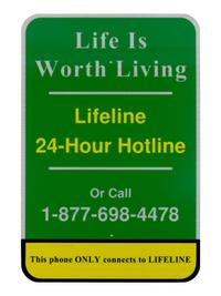 Lifeline , 2010