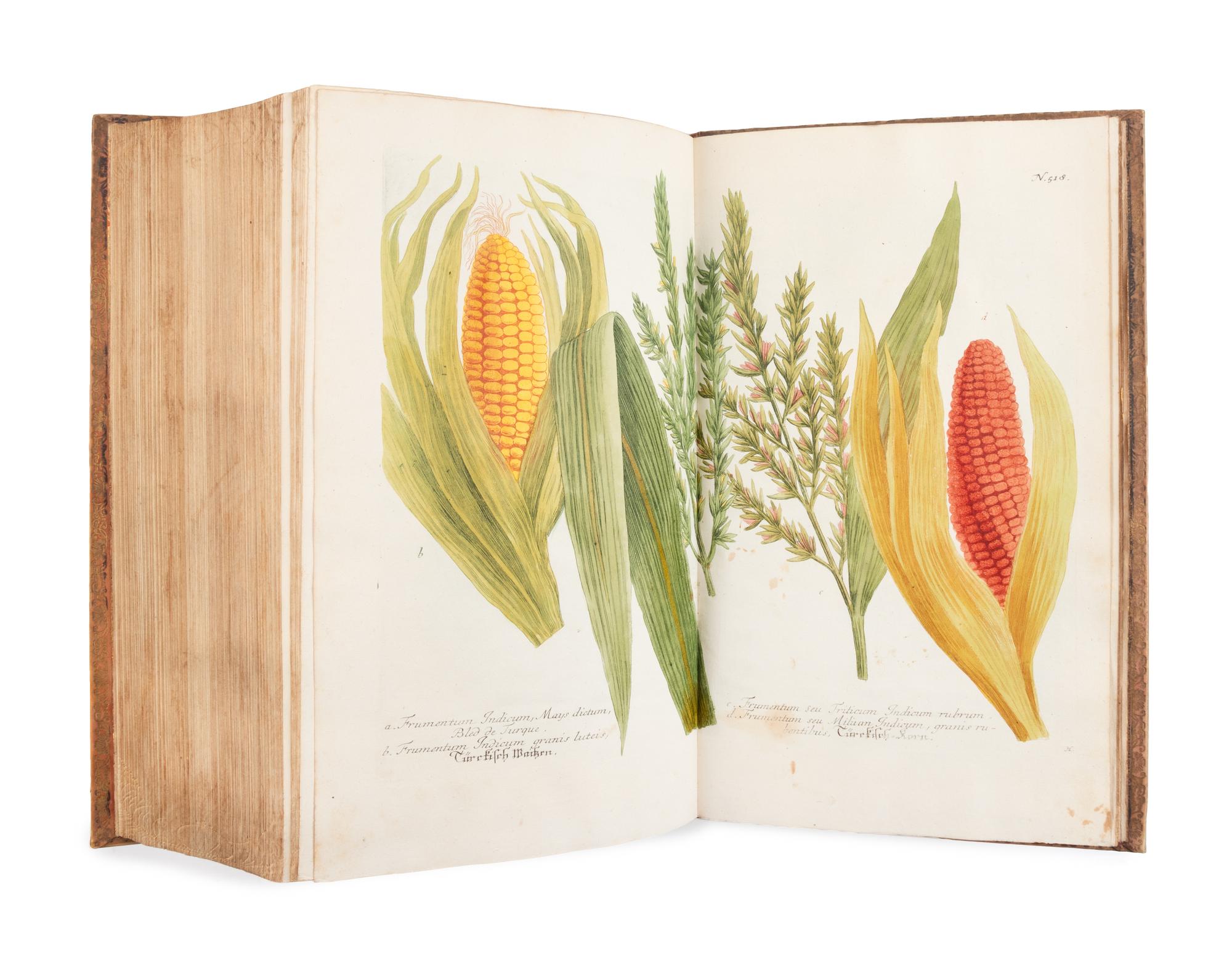 [NATURAL HISTORY]. WEINMANN, Johann Wilhelm (1683-1741). Phytanthoza - Iconographia, oder eigentliche Vorstellung etlicher tausend, wo wohl einheimisch als Ausländischer…. Regensburg: Hieronymo Lenz, 1739.