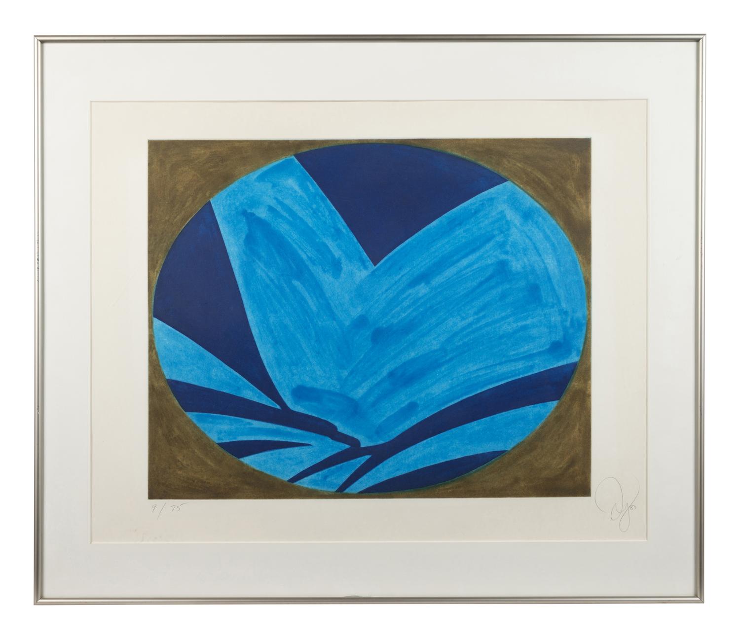 Blue Nyad