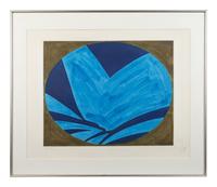 Blue Nyad