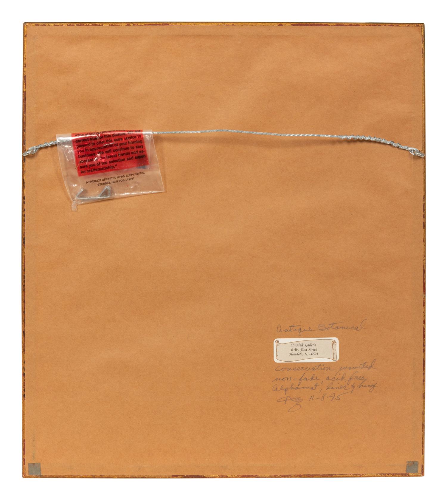 A Set of Five Botanical Lithographs
