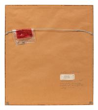 A Set of Five Botanical Lithographs