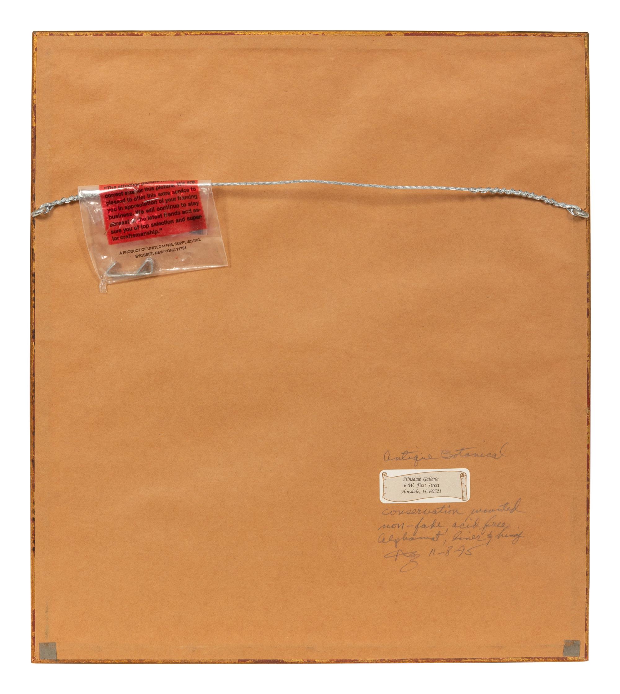 A Set of Five Botanical Lithographs