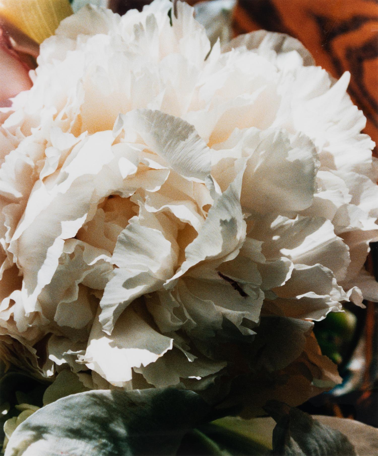 A group of three works (Get These Flowers Off My Head; Intensity II; Winter Scene)