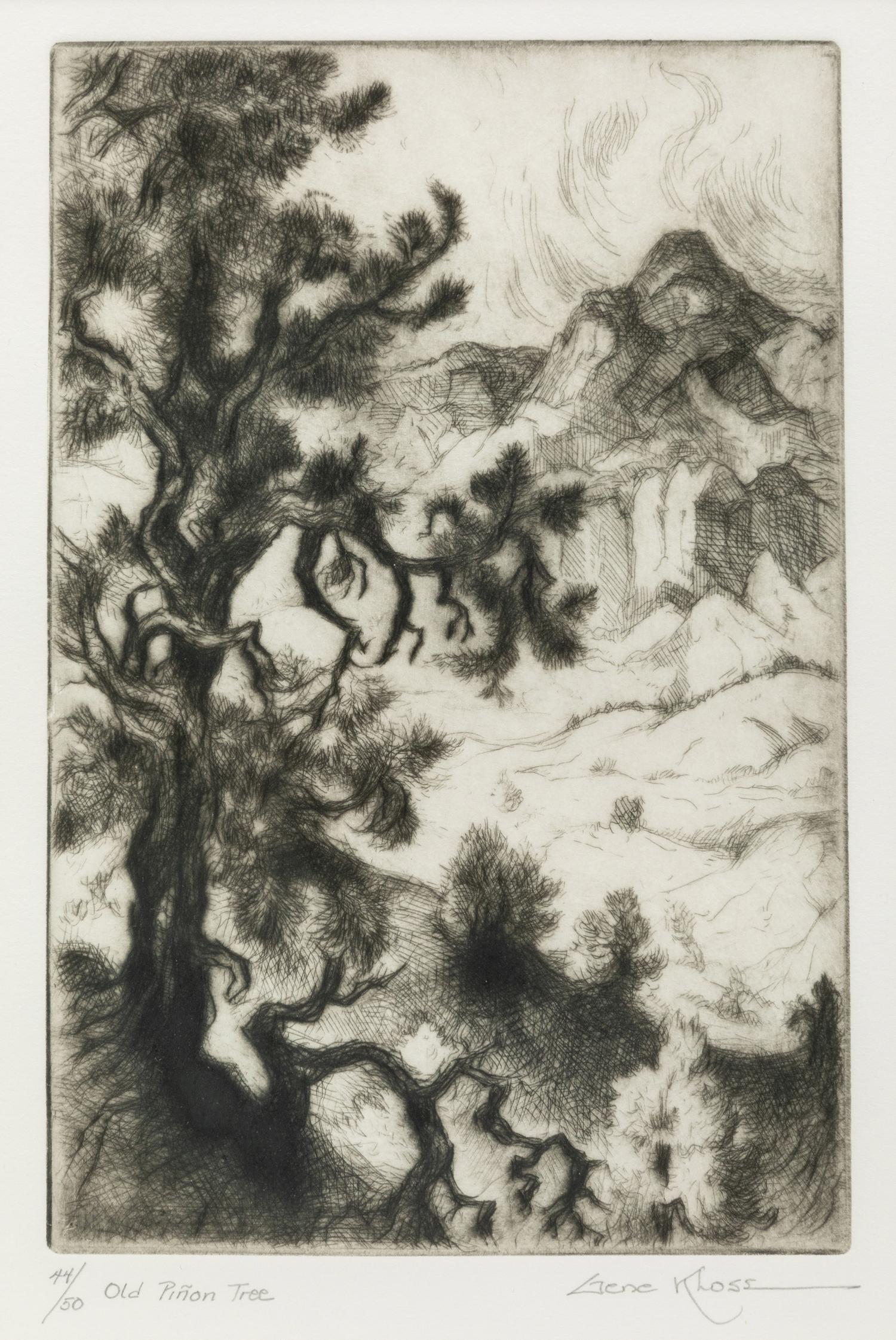 Old Piñon Tree , edition 44/50