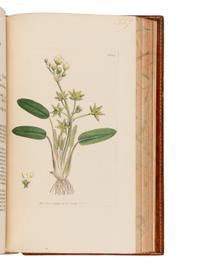 [Natural History] Sowerby, James. English Botany; or, Coloured Figures of British Plants ...