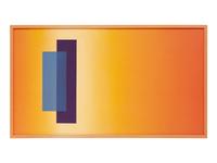Polymer 1