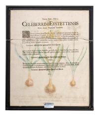 Three Hand-Colored Botanical Engravings