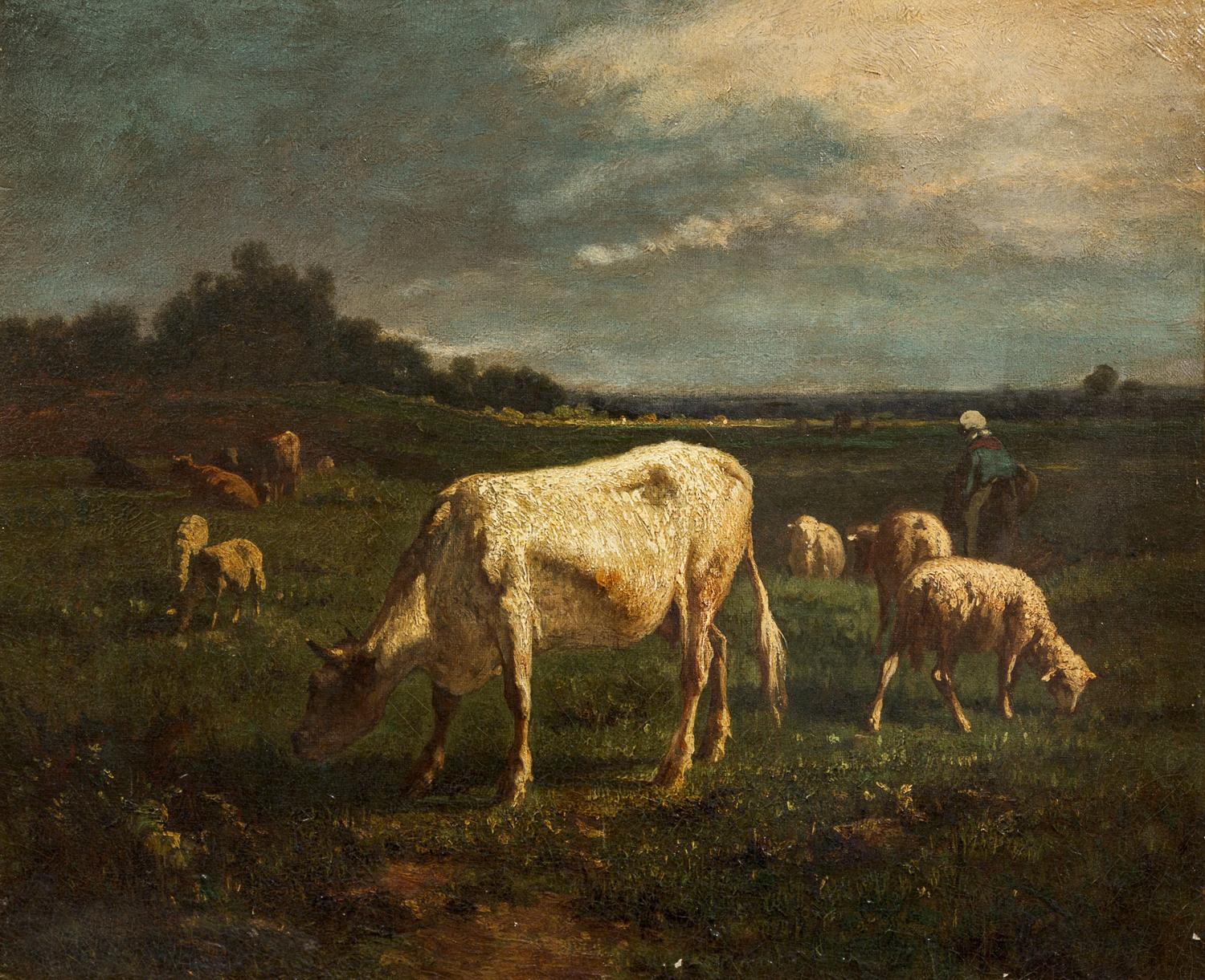 Grazing Cattle