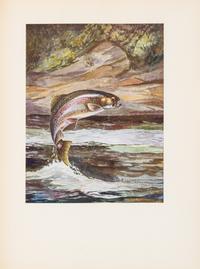 SCHALDACH, WILLIAM J. Fish. Collected Etchings, Drawings and Water Colors... Philadelphia, 1937. Limited ed.