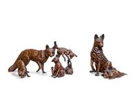 Fox Family , MC 2