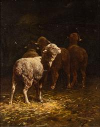 Sheep at a Manger