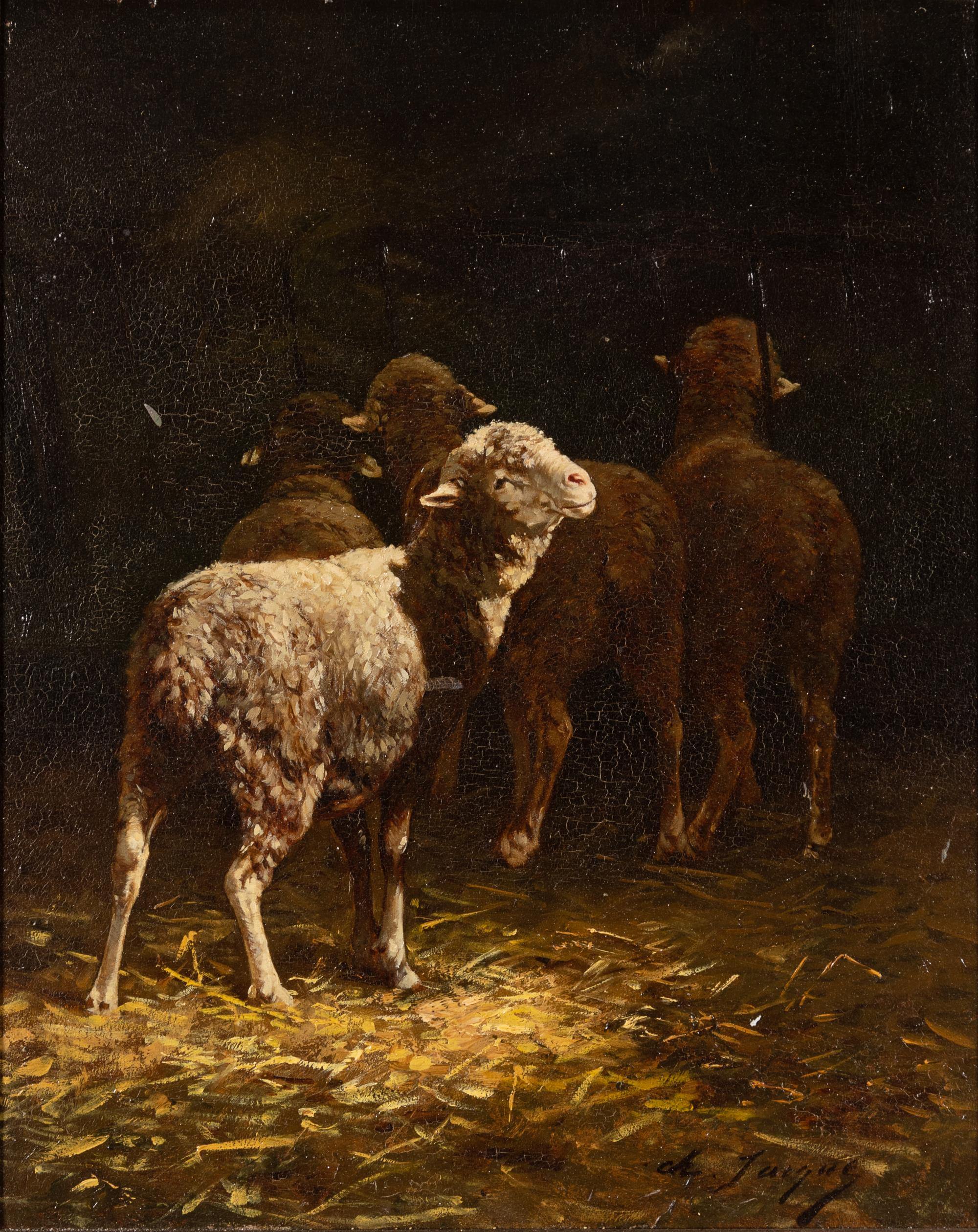 Sheep at a Manger
