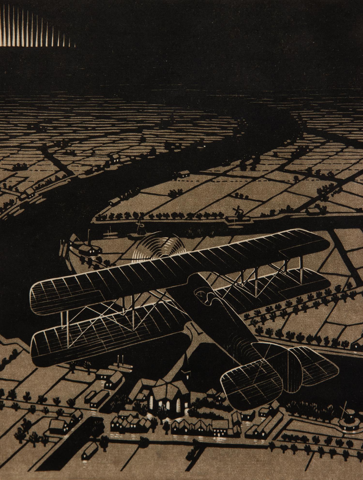 Aeroplane above a Snowy Landscape