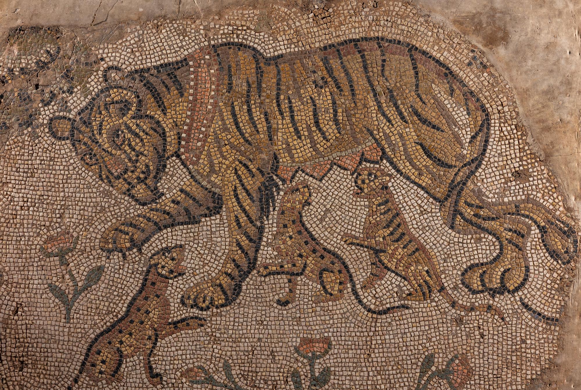A Late Roman Mosaic Panel of a Tigress with Cubs