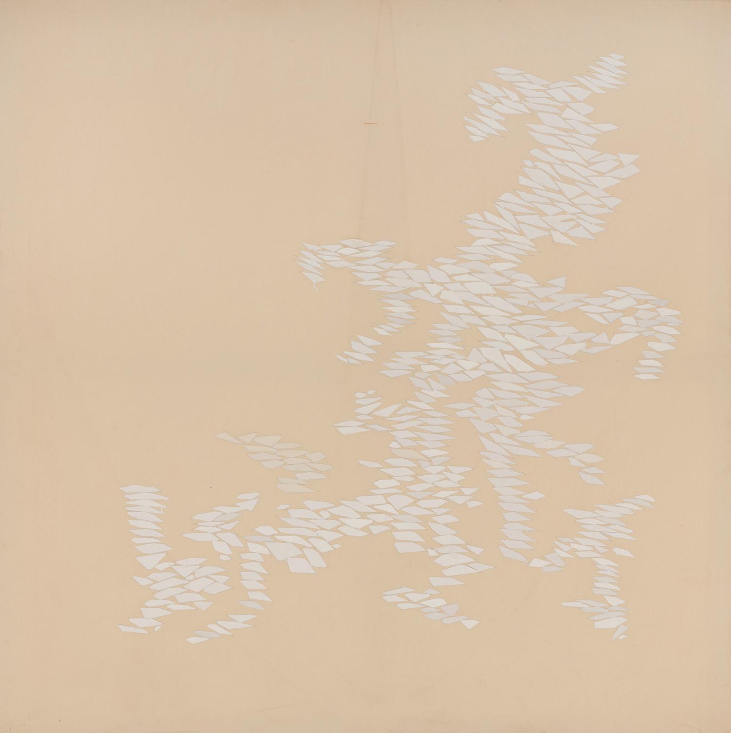 White Growth ND , 1970-71