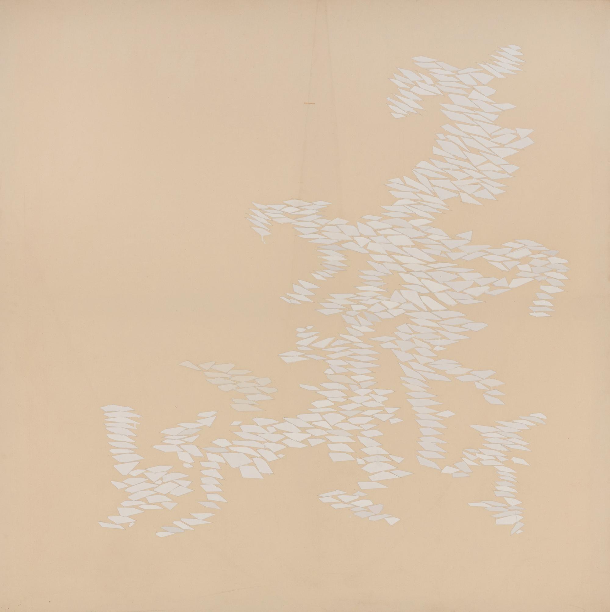 White Growth ND , 1970-71