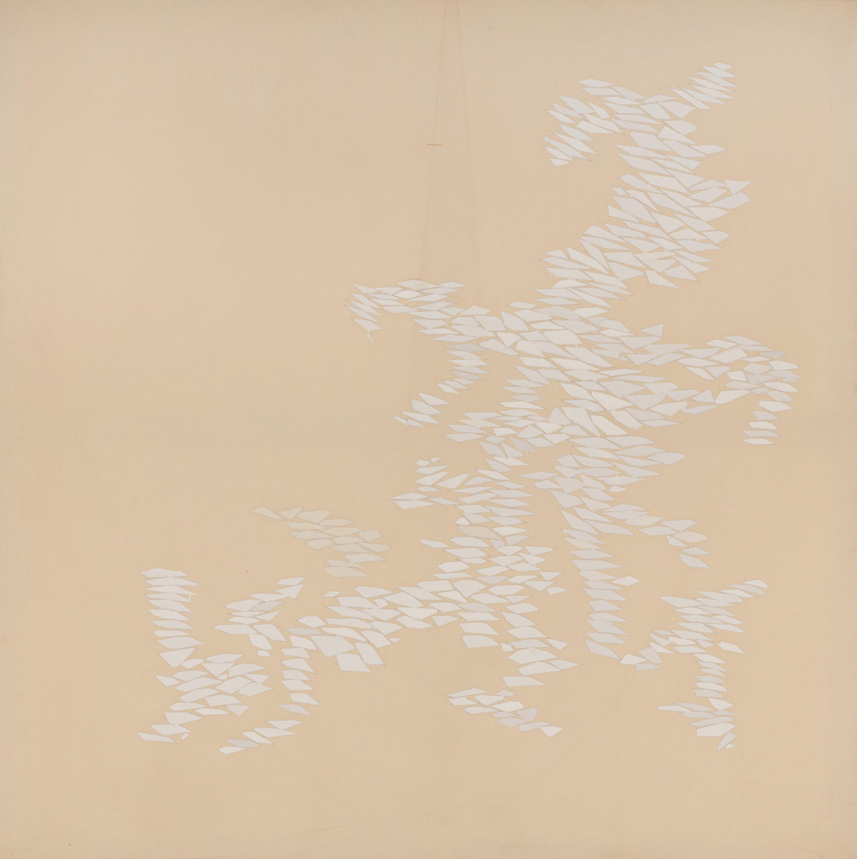 White Growth ND , 1970-71