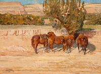 Along Tesuque Arroyo