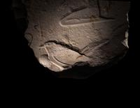 An Egyptian Limestone Fragmentary Inscription