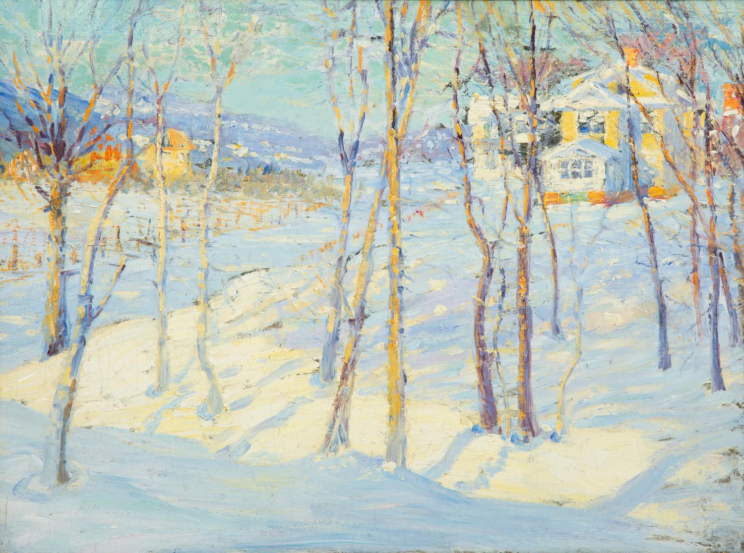 Sunny Winter Day