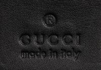 Gucci Ophidia Suede Shoulder Bag