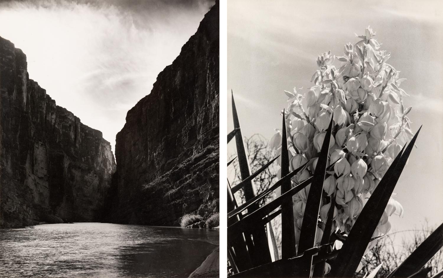 Laura Gilpin (1891-1979) Santa Elena Canyon, Big Bend National Park, Texas, 1946; and Untitled (Flowering Adams Needle Yucca,) nd