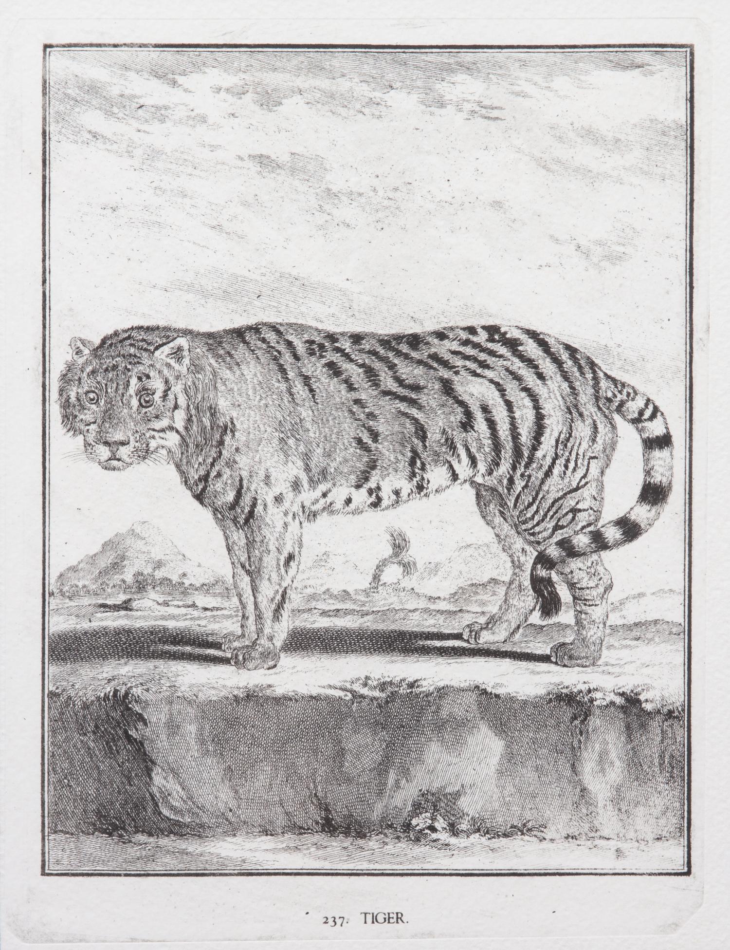 A Collection of Twenty Framed Black & White Animal Prints Framed size 21 3/4 x 19 1/2 inches. — 20TH CENTURY