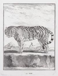 A Collection of Twenty Framed Black & White Animal Prints Framed size 21 3/4 x 19 1/2 inches. — 20TH CENTURY
