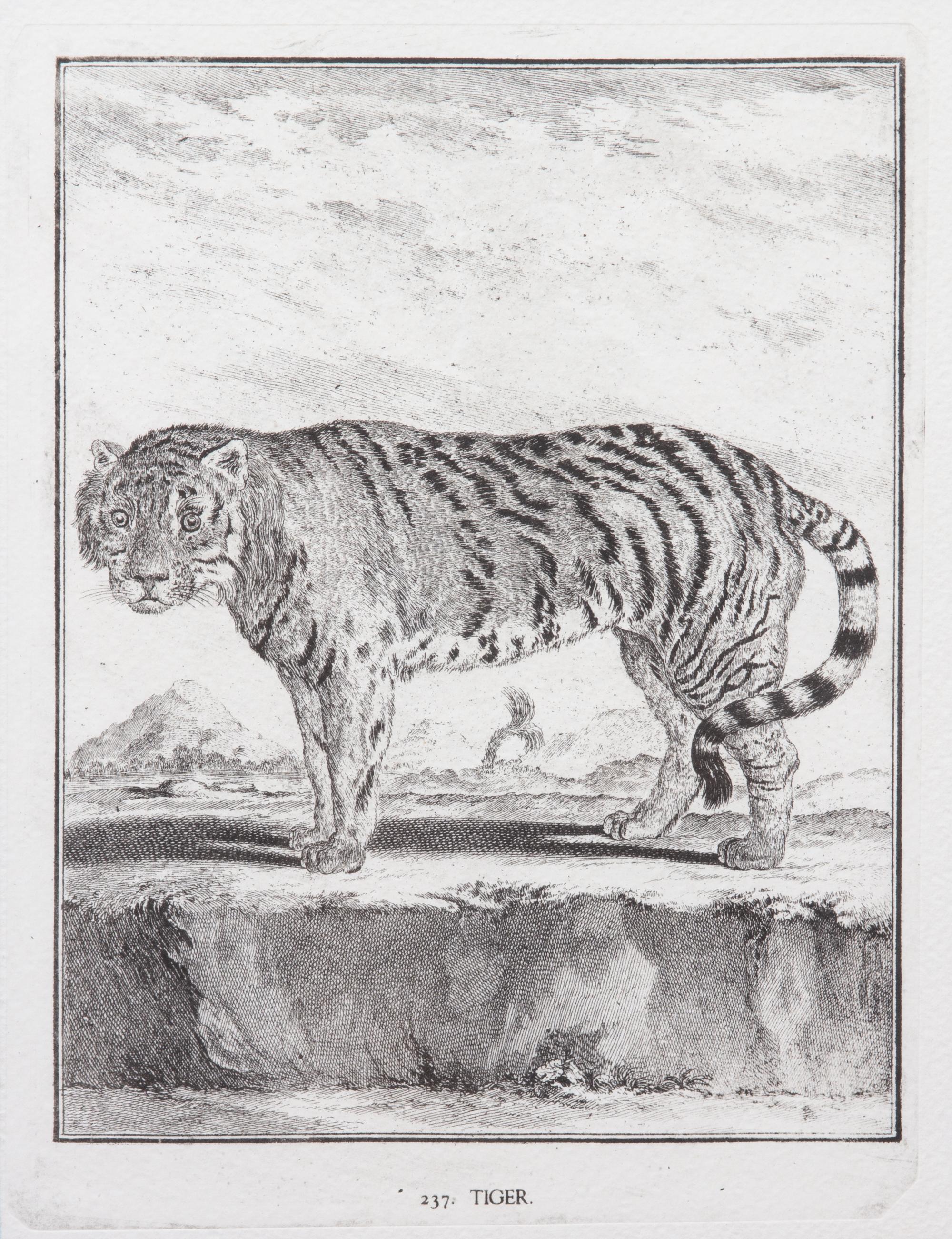 A Collection of Twenty Framed Black & White Animal Prints Framed size 21 3/4 x 19 1/2 inches. — 20TH CENTURY