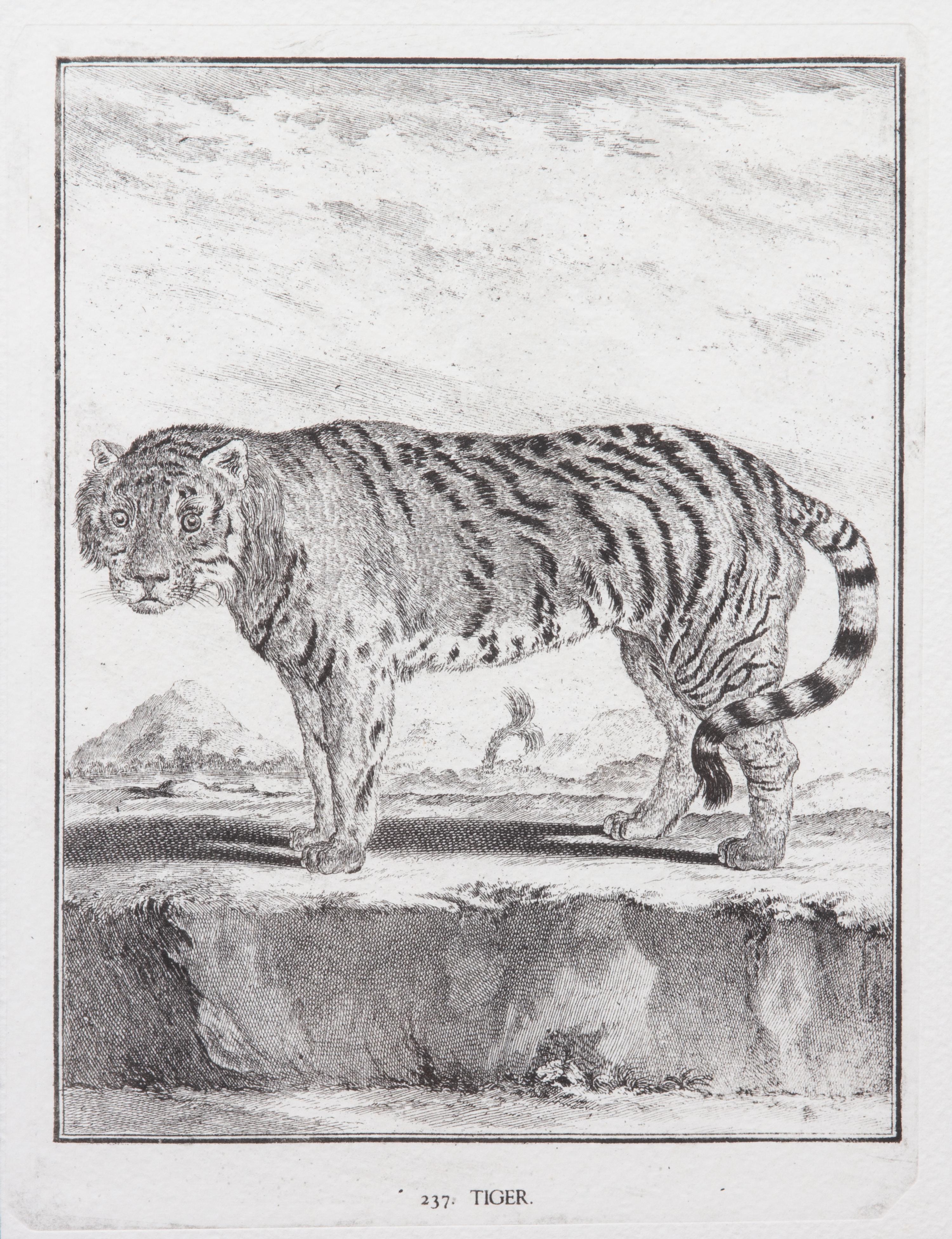 A Collection of Twenty Framed Black & White Animal Prints Framed size 21 3/4 x 19 1/2 inches. — 20TH CENTURY