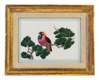 Seven Chinese Export Ornithological Scenes on Pith
