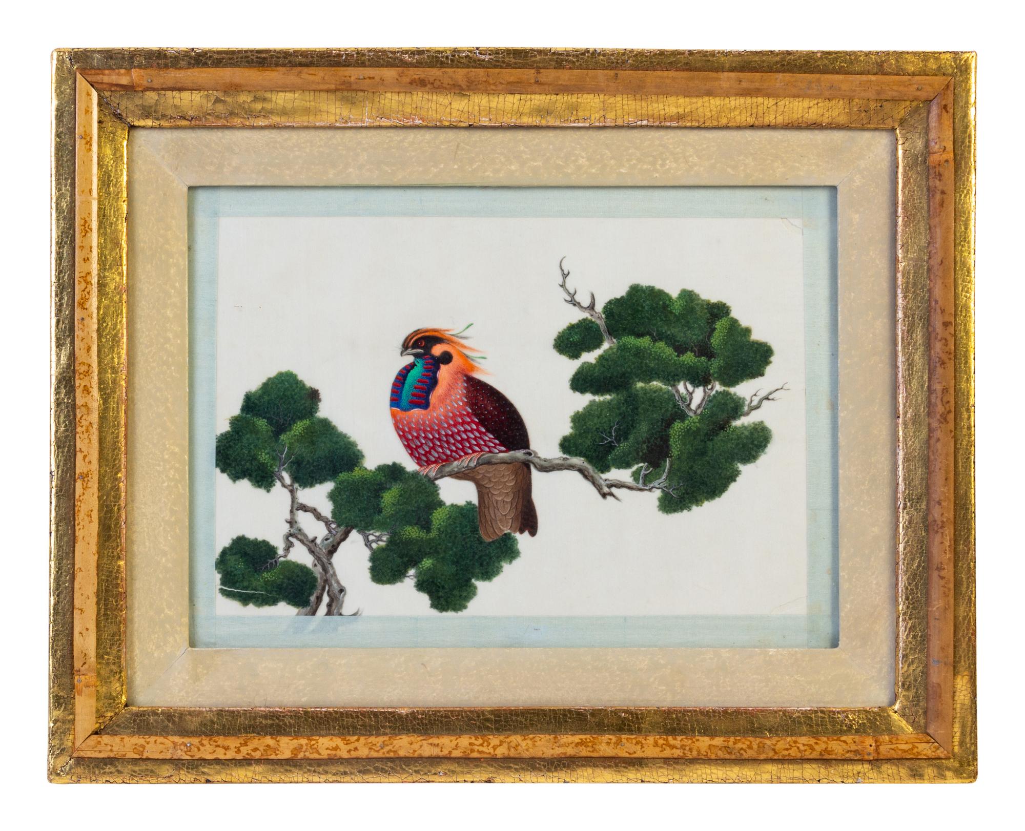 Seven Chinese Export Ornithological Scenes on Pith