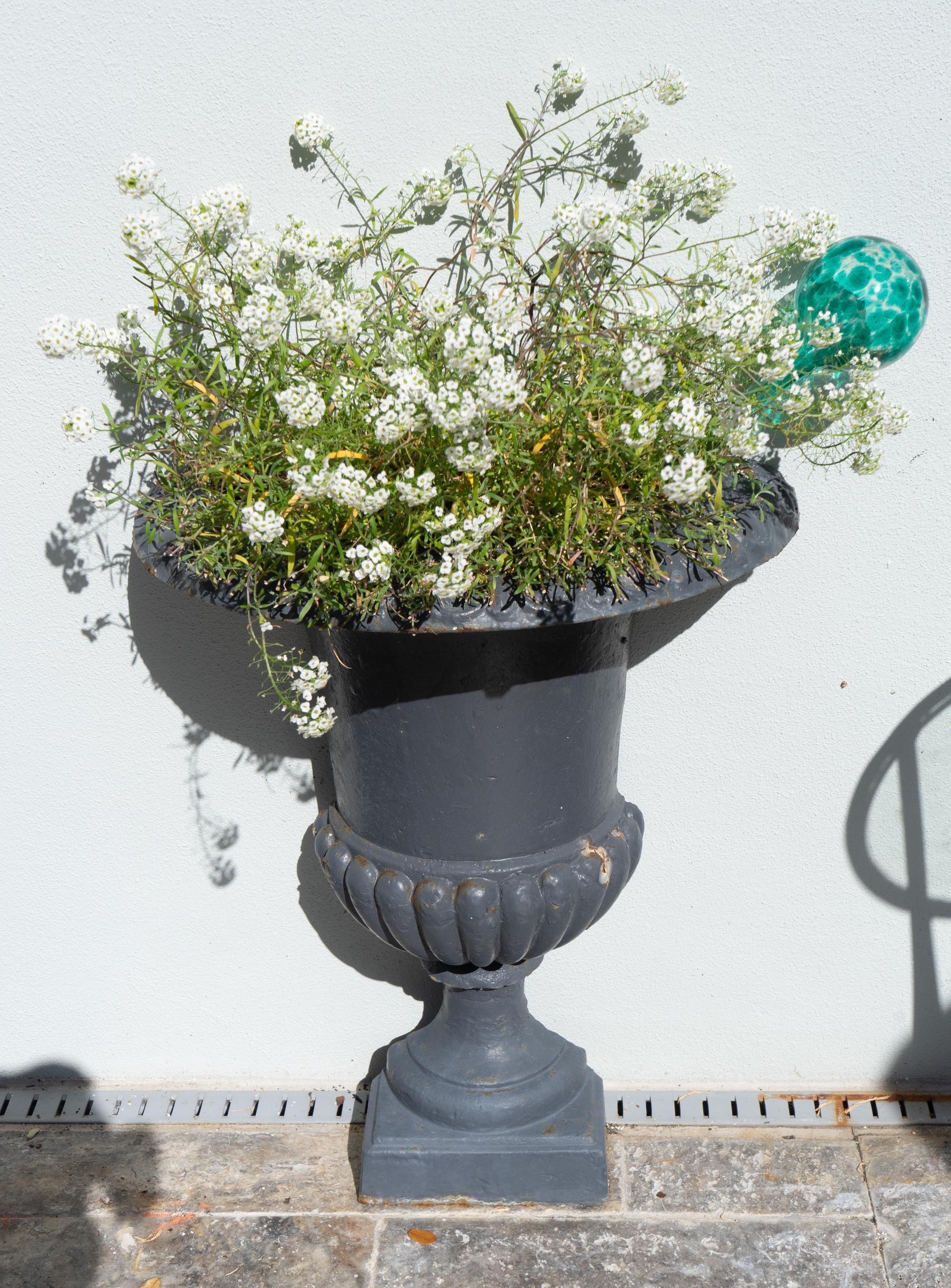 A Pair of Flat-Sided Iron Wall Planters