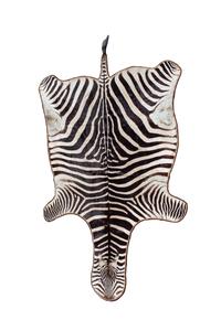 A Zebra Skin Rug — 20TH CENTURY