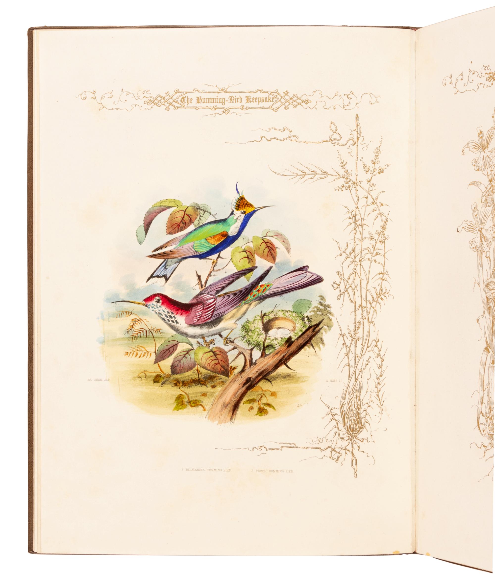 [NATURAL HISTORY]. JERRARD, Paul. The Humming Bird Keepsake Book of Bird Beauty [and] Gems for the Drawing Room . London: Paul Jerrard, 1852.